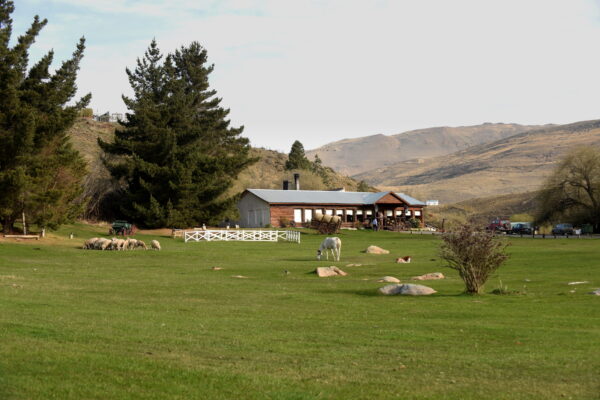 tarde de campo Estancia 25 de Mayo