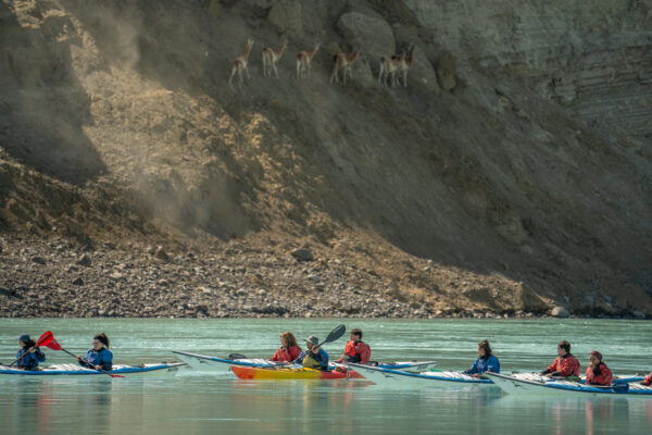 Kayak Río Santa Cruz - Darwin Experience - Imagen 4