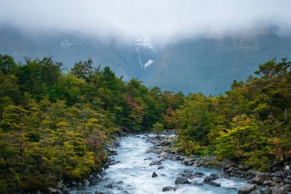 navegación por Lago Argentino y caminata interpretativa por el Bosque Andino Patagónico