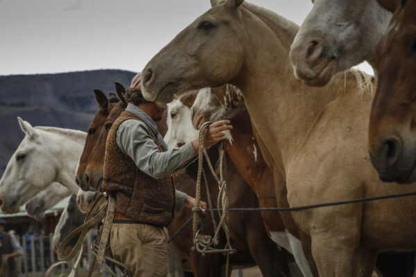 Estancia Cristina – Cabalgata - Imagen 7
