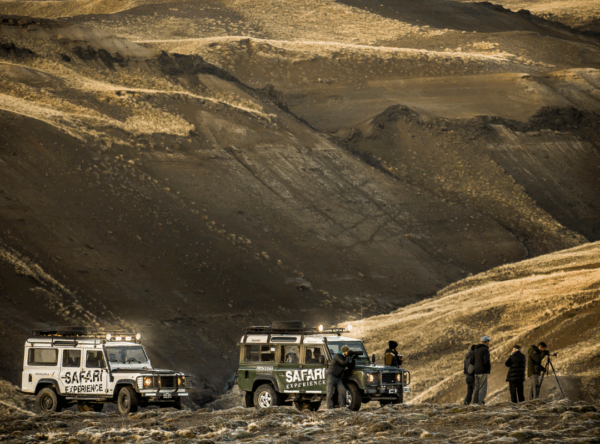 excursión 4x4 por la estepa patagónica - Safari Experience