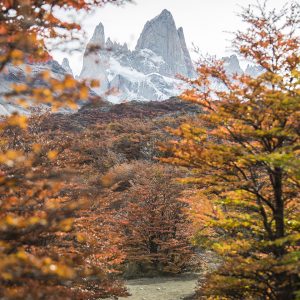 El Chaltén - Full Day