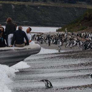 view of Puerto Almanza with view of penguins