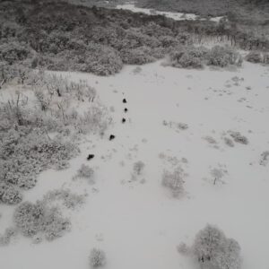 Silencio Andino- Experiencia Nocturna en la Nieve